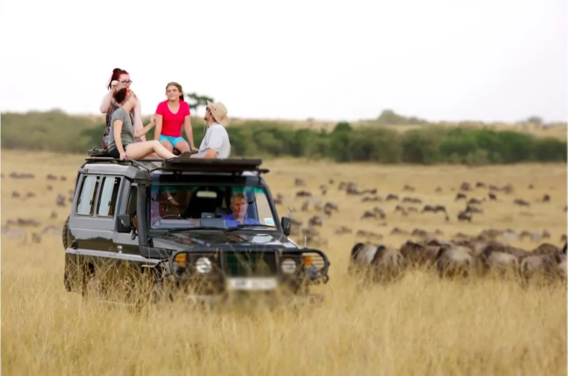 Group joining 4×4 vehicle on Northern Circuit safari in Tanzania