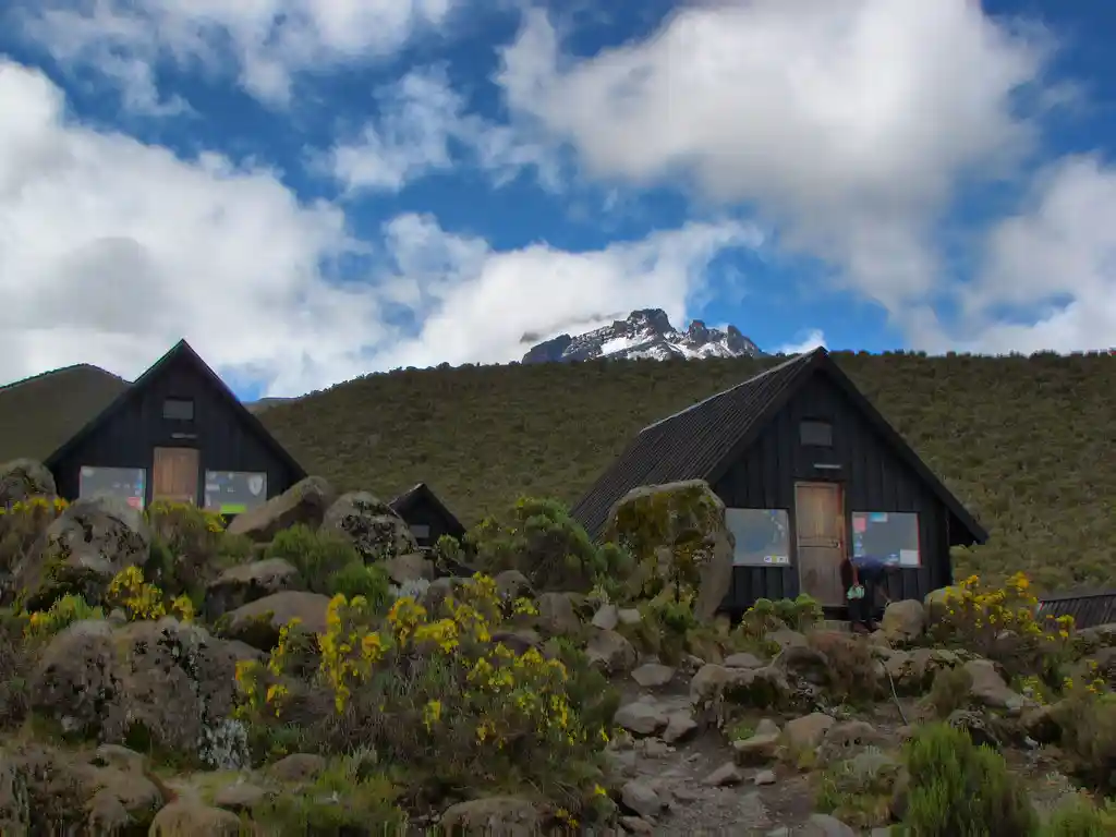 5 Days Marangu Route Kilimanjaro Climb