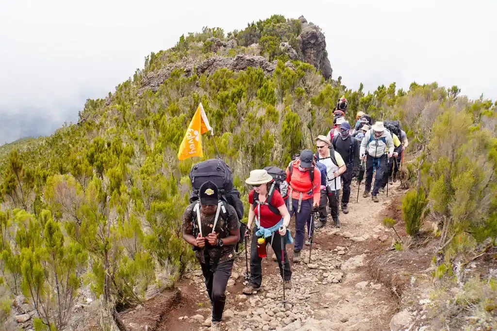 7 Days Group Joining Machame Route Climb