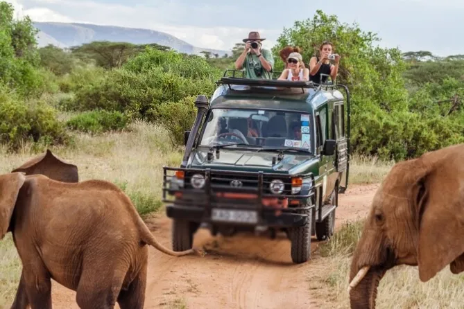6 Days Group Joining Tanzania Safari